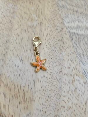 Charms étoile de mer