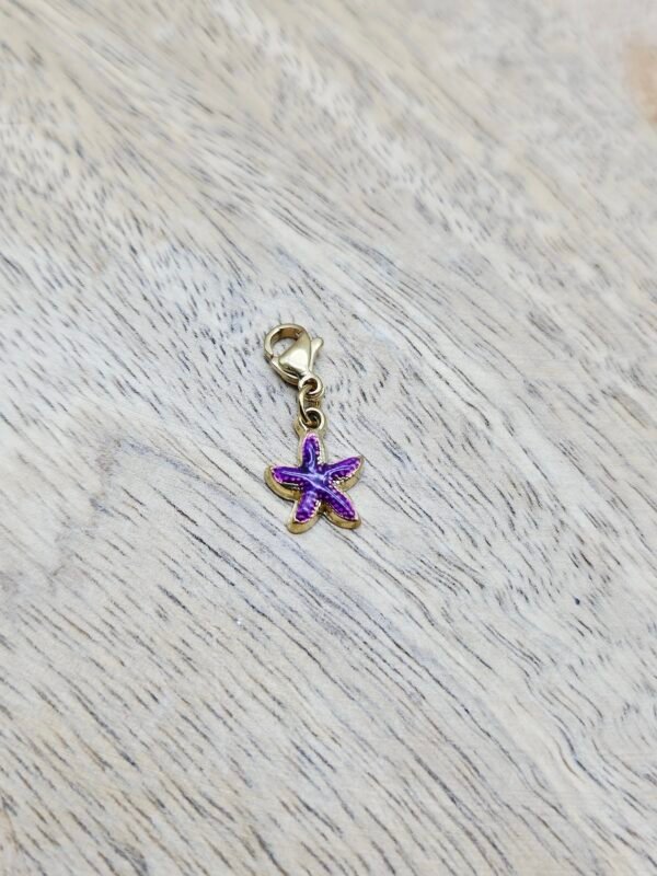 Charms étoile de mer