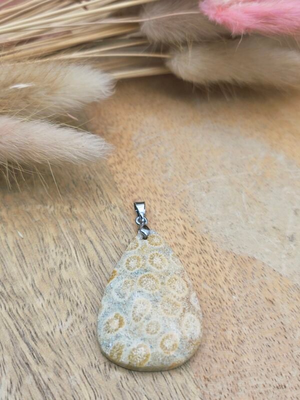Pendentif jaspe fossile corail